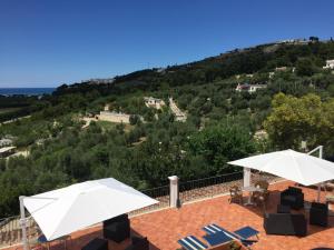 Táj Show holiday homes közelében