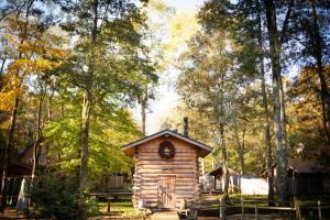 a small log cabin in the middle of a forest at LAMP Nojiriko The Sauna by the Lake in Shinano