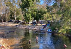 King River Caravan Park في Whitfield: مجموعة من الناس تقف في الماء في نهر