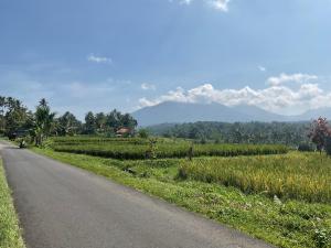 a road next to a field with mountains in the background at Buana Asti rooms in Tabanan +54 photos