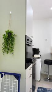 Kuchyň nebo kuchyňský kout v ubytování Klein und feines City Apartment