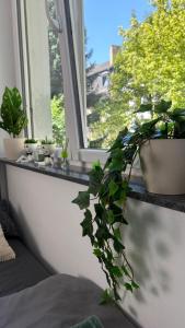 Zahrada ubytování Klein und feines City Apartment