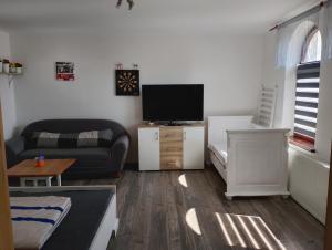 un soggiorno con divano e TV a schermo piatto di Čtyřka a Varnsdorf Altre 26 foto