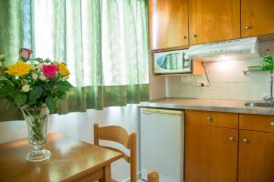 Köök või kööginurk majutusasutuses Agrellis Apartments