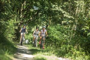 Billede fra billedgalleriet på Landal Winterberg i Winterberg