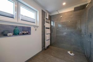 y baño con ducha y cabina de ducha acristalada. en Auszeit, en Gelting