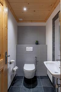 a bathroom with a toilet and a sink at Ride Inn Verbier - B&B - private small twin room, shared bathrooms in Verbier