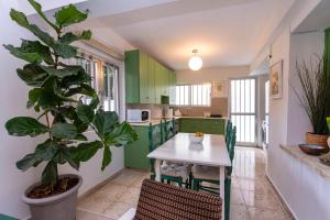 a kitchen with green cabinets and a potted plant at Two Bedroom Garden Cottage in Quiet Street in Limassol