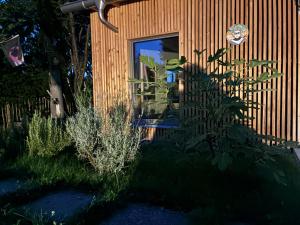 una casa con una ventana y plantas delante de ella en La Capucine, en Delémont