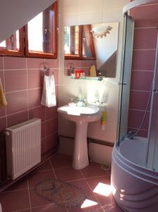 ein rosafarbenes Bad mit einem Waschbecken und einer Dusche in der Unterkunft Casa Andrada & Ilinca in Gura Humorului