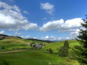 a green field with a house on a hill at derWaldfrieden naturparkhotel in Herrenschwand