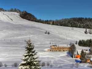 a ski lodge in the snow with a christmas tree at derWaldfrieden naturparkhotel in Herrenschwand