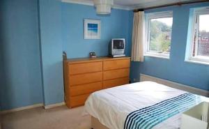 a blue bedroom with a bed and a tv on a dresser at Shared Double Rooms in Buckinghamshire