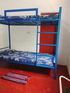 two bunk beds in a room with a ladder at EECS Transit - Village stay in Katunayake