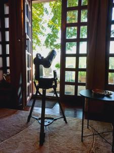 ナジュマロシュにあるFecskefészek vendégházの椅子