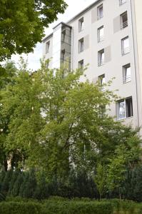 a large tree is in front of a building at HOTEL ARÉNA in Prague