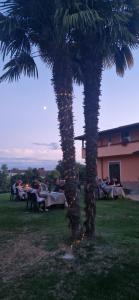 Billede fra billedgalleriet på lalunanera i Cortazzone