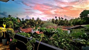 a view from the roof of a house with plants at Black Pearl Apartments - with free snorkeling Mirissa in Mirissa