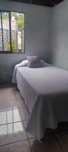 Billede fra billedgalleriet på Hostel Paco House i Monteverde Costa Rica