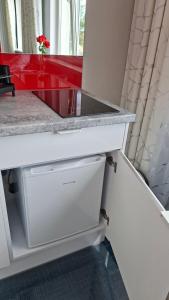 Dapur atau dapur kecil di HORTENSJA 304