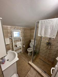 a bathroom with a shower and a toilet and a sink at cabana din vale in Gara Piatra Craiului