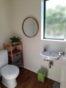 Un baño con inodoro, lavabo y espejo. en Waimate Cottage - Waimate North, en Waimate North