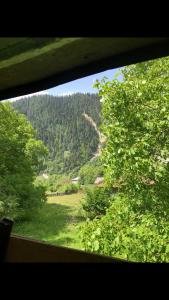 Gallery image of რაჭა-შოვი in Oni