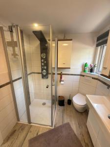 a bathroom with a shower and a toilet at Am Zeißigwald in Chemnitz +17 photos
