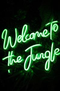 Fotografie z fotogalerie ubytování Suite Eden Jungle, nuit romantique à 2, evasion tropicale v destinaci Limoges