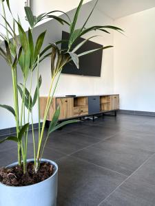 a potted plant in the lobby of a building at The Sapphire Suite in Luxembourg