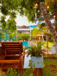 阿杭格默Dharma Place的游泳池旁树下的长凳