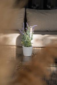 Fotografie z fotogalerie ubytování L'Eguilles de Pins v destinaci Éguilles