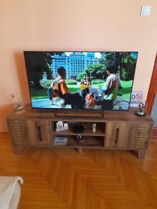 TV a/nebo společenská místnost v ubytování Apartman Mina