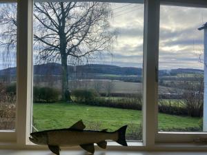 Φυσικό τοπίο κοντά σε αυτό το διαμέρισμα