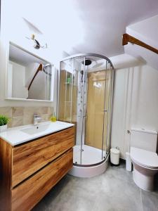 a bathroom with a shower and a sink and a toilet at Maison 2-5 pers au calme proche Parc in La Pommeraie-sur-Sèvre