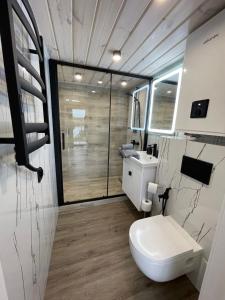 Koupelna v ubytování Дивоніч guest house