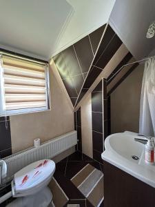 a bathroom with a toilet and a sink at Casa Alberto in Sovata +24 photos