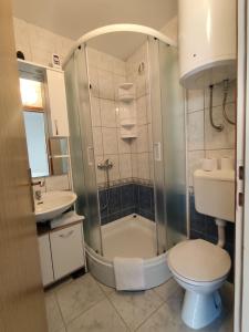 a bathroom with a shower and a toilet and a sink at Blue Sunset in Razvala