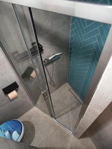 a shower with a glass door and a toilet at Draga studio apartment pets welcome in Draga Bašćanska