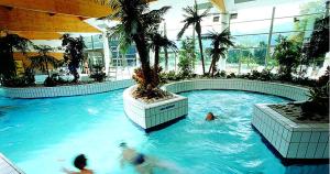 a swimming pool with a palm tree in a building at ATELIER ART DECHO in Munster