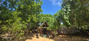 eine Gruppe von Menschen, die auf einem Spielplatz spielen in der Unterkunft Thumbaya Resort Yala in Tissamaharama