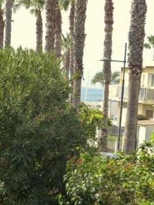 Příroda nedaleko apartmánu + 13 fotografií