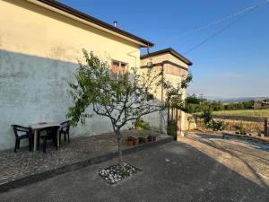 a table and bench next to a building with a tree at B&B Da Vincenzo e Teresa in Bella