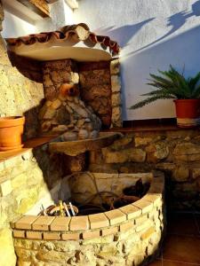 a stone fireplace in a room with a plant at Torreon de Nubla in Cazorla +1 photo