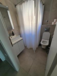 een kleine badkamer met toilet en wastafel bij Sunny Apartment in Ofrínion +30 foto's