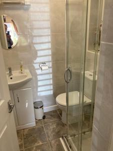 a bathroom with a shower and a toilet and a sink at Warwick Home From Home in Warwick +8 photos