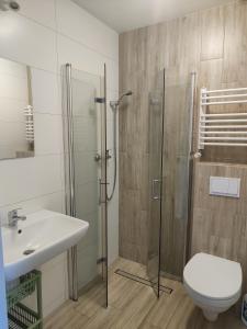 a bathroom with a shower and a toilet and a sink at ekoLOKUM - kameralnie, blisko centrum in Ostróda