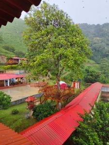 a red roof with a table and a tree at Eco hotel la Esmeralda Cienaga in Ciénaga