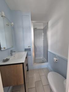 a bathroom with a shower and a sink and a toilet at Petite maison avec jardin à Bagnoles de l'Orne in Bagnoles de l'Orne +5 photos