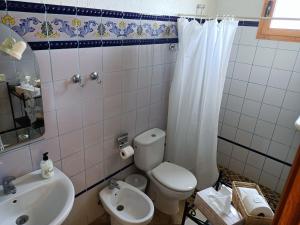 a bathroom with a toilet and a sink at Tenerife Paradise 06 Room King - Hotel Rural Fsj in San Juan de la Rambla